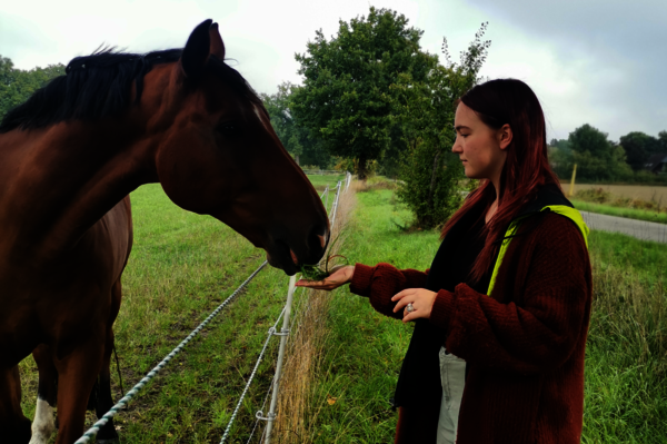 Eine ÖBFD-Freiwillige füttert ein Pferd am Zaun.
